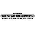 Gilbert H Wild & Son